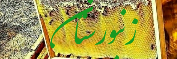 ‌محمد حیدری‌'s header picture