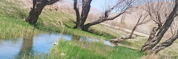 ‌جلال سعادت‌'s header picture