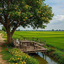 Profile picture of ‌Hs S‌