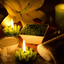 Profile picture of ‌مونا؏رفانیღ•༻ஜ‌