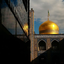 Profile picture of ‌سید محمدرضا‌