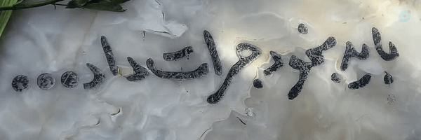 ‌🐚دُرّا🎒‌'s header picture