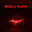 Profile picture of ‌𝗕𝗶𝗱𝗮𝗿𝘆 𝗦𝗼𝗿𝗸𝗵‌