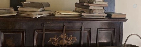 ‌Alizadeh‌'s header picture