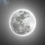 Profile picture of ‌Ramtin 1‌