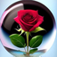 Profile picture of ‌user1748160326426422911 M‌