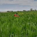 Profile picture of ‌نسیم خاکستانی‌