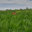 Profile picture of ‌نسیم خاکستانی‌