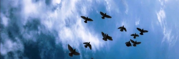 ‌- آینه -‌'s header picture
