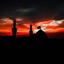 Profile picture of ‌gomnam128‌