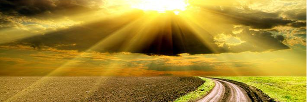 ‌محمد عباسیان لاری‌'s header picture