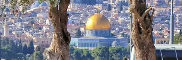 ‌سيد عبدالله جحاف 🇵🇸🇾🇪 🇮🇷‌'s header picture