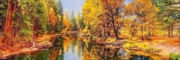 ‌ناصر محمدی‌'s header picture