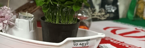 ‌یاس‌'s header picture