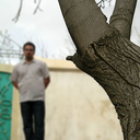 Profile picture of ‌ف. آهــوئـی‌
