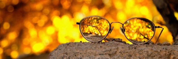 ‌نویسنده خلافکار‌'s header picture