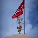 Profile picture of ‌رضا ادیب‌