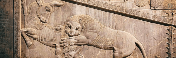 ‌فرزاد موسوی‌'s header picture