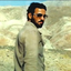 Profile picture of ‌Arash Saremi‌