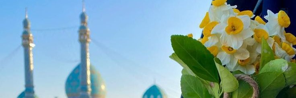 ‌زائر بارانی‌'s header picture