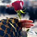 Profile picture of ‌✿فاطیما✿‌