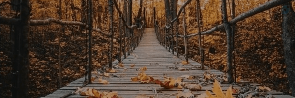 ‌حمید بلندی‌'s header picture