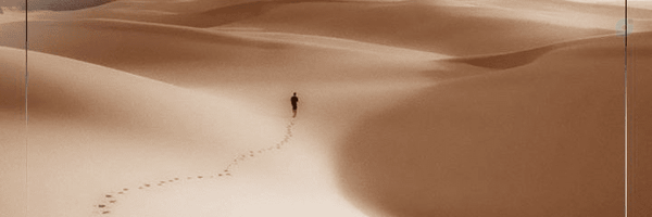 ‌میثم فراست‌'s header picture