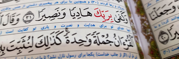 ‌Sahar Khosravi‌'s header picture