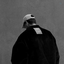 Profile picture of ‌آقای میــم.‌