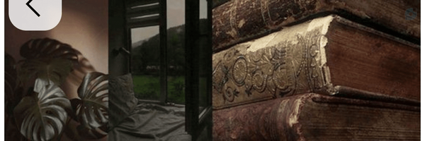 ‌Reyhan 655‌'s header picture