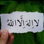 Profile picture of ‌محمدِامین‌