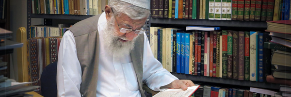 ‌فاطمه محمدی‌'s header picture