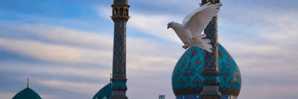 ‌نا؏ـم🌿‌'s header picture