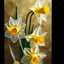 Profile picture of ‌اباصالح‌