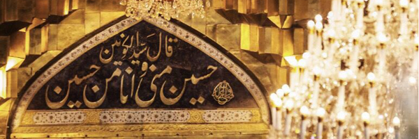 ‌دلارام :)🌱‌'s header picture