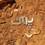 Profile picture of ‌پلاک بی صدا‌