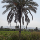 Profile picture of ‌علی اکبر‌