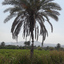 Profile picture of ‌علی اکبر‌