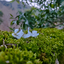 Profile picture of ‌Amir.sadeghi ا‌