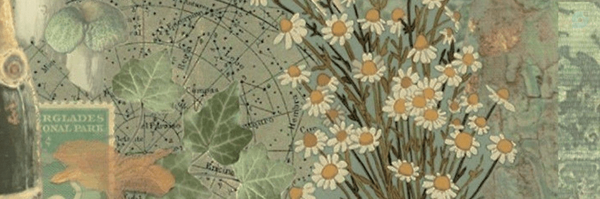 ‌Bahar|بهار🌱‌'s header picture