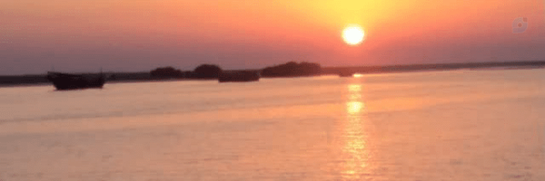 ‌حامد حیاوی‌'s header picture