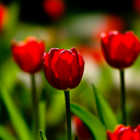 Profile picture of ‌user1748160320609116745 A‌