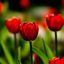 Profile picture of ‌user1748160320609116745 A‌