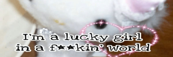 ‌Zero‌'s header picture