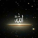 Profile picture of ‌محسن حسین نژاد‌