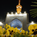 Profile picture of ‌محمد جواد ناظمی‌