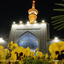 Profile picture of ‌محمد جواد ناظمی‌