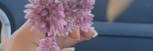 ‌Zohreh‌'s header picture