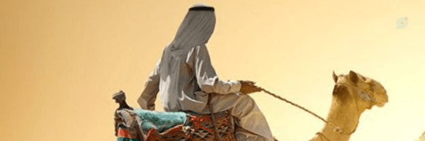 ‌حاکم امارات محمد بن زاید°✓° 🇦🇪‌'s header picture