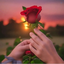 Profile picture of ‌mohsen Khatam‌